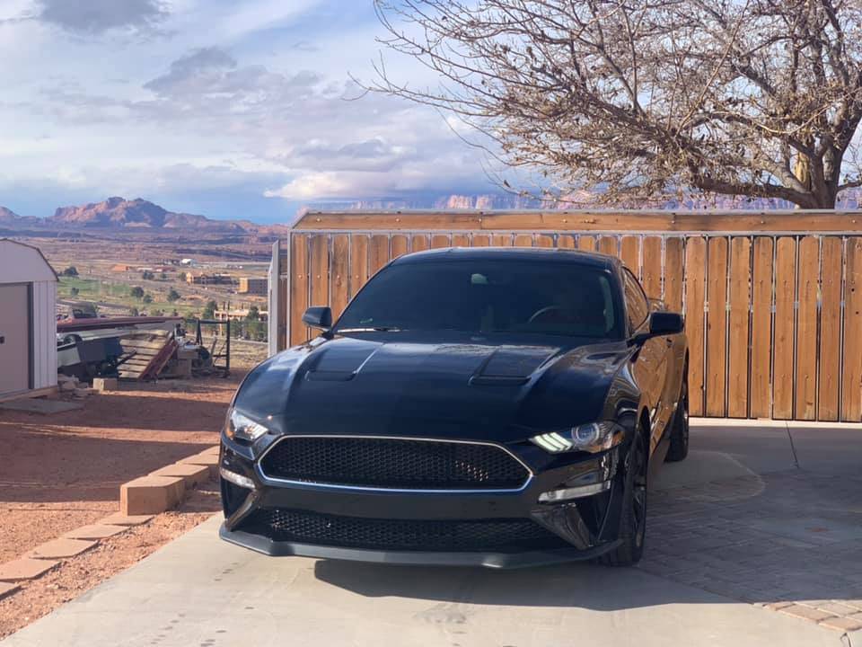 AZbullitt.jpg