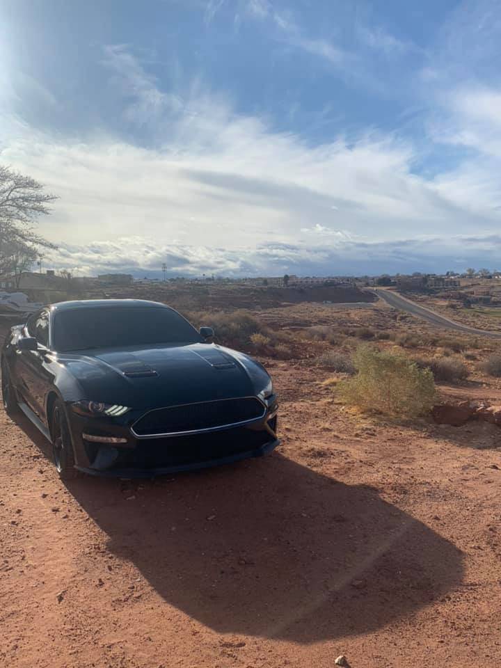 AZbullitt2.jpg