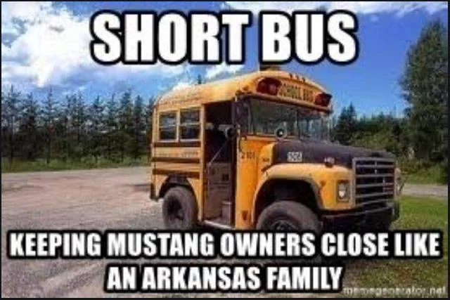 Mustang Short Bus.webp