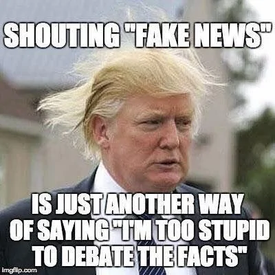 Trump Fake News Defense.webp