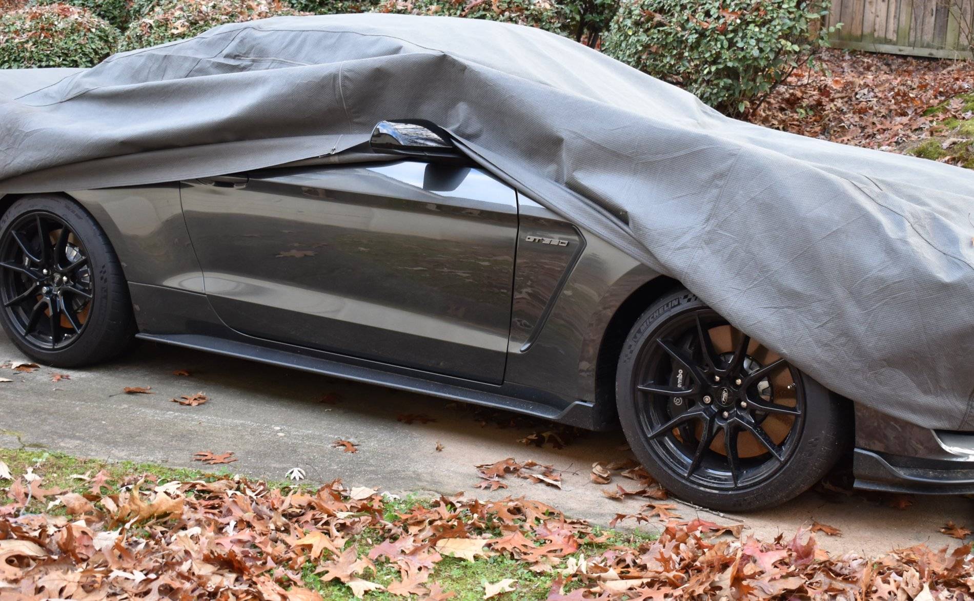 GT350winter.JPG