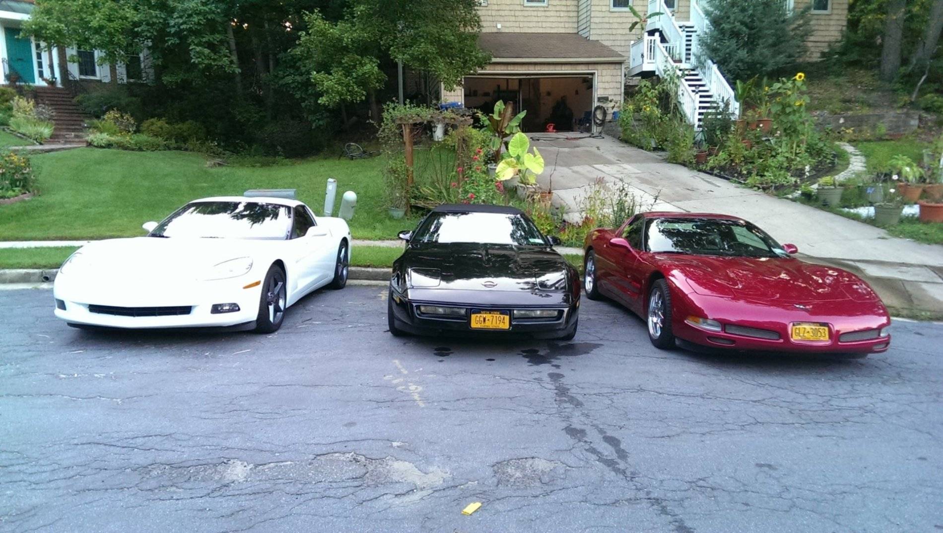 vettes.jpg