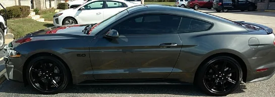 Mustang 1.webp