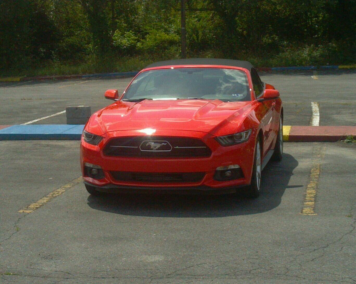 mustang1.jpg