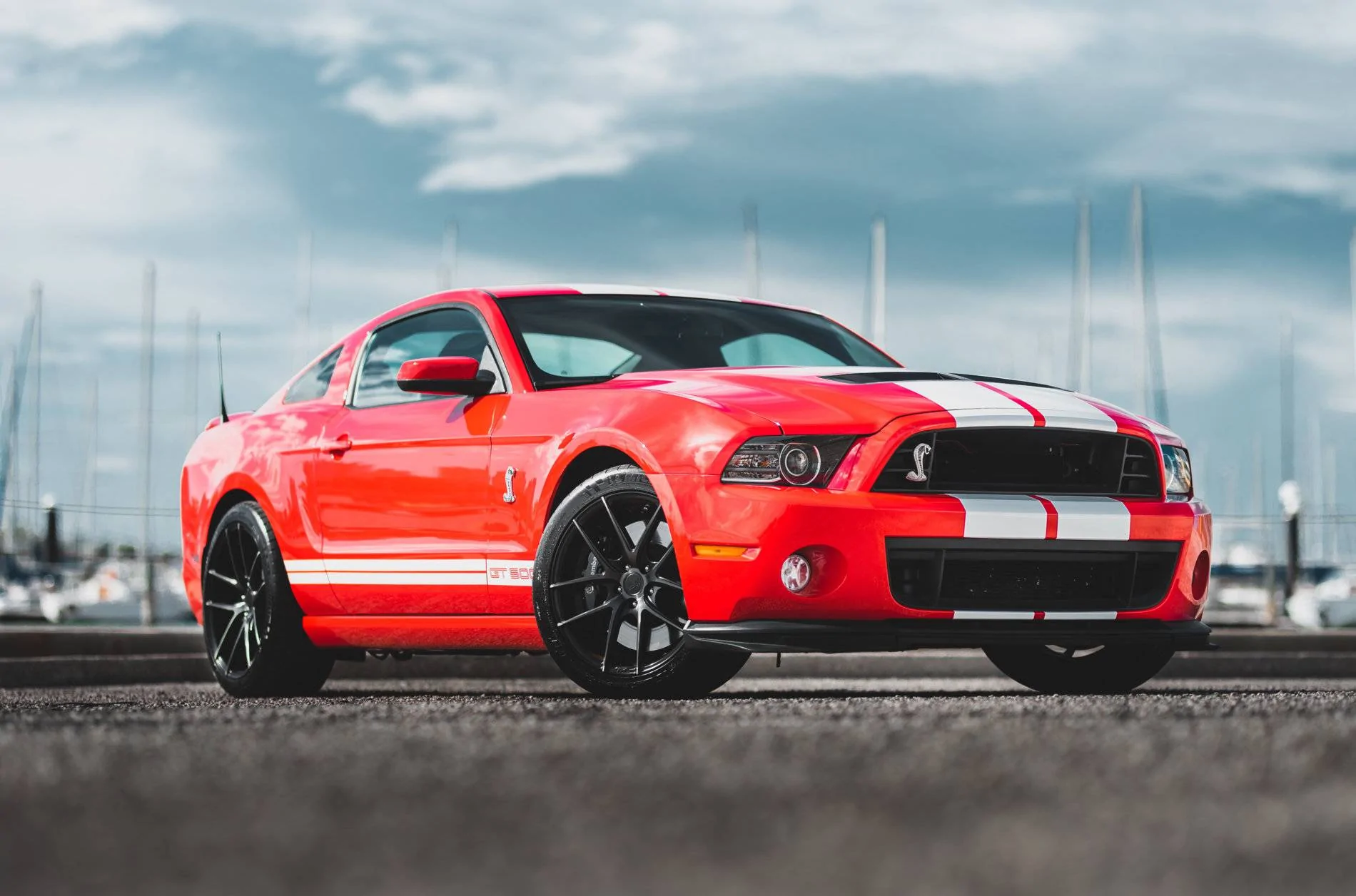 ryan-shelby-photo.webp