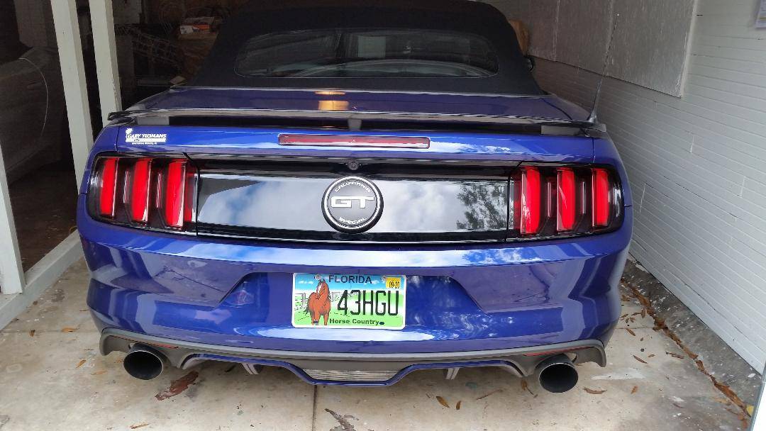 new plate.jpg