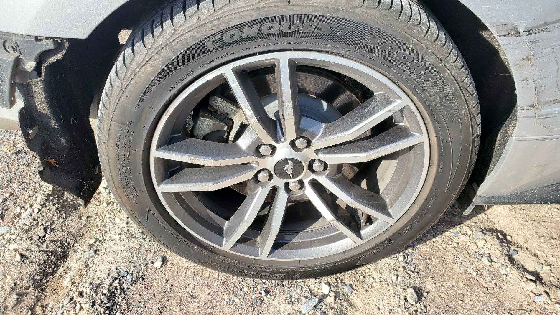 20191205_102704.jpg
