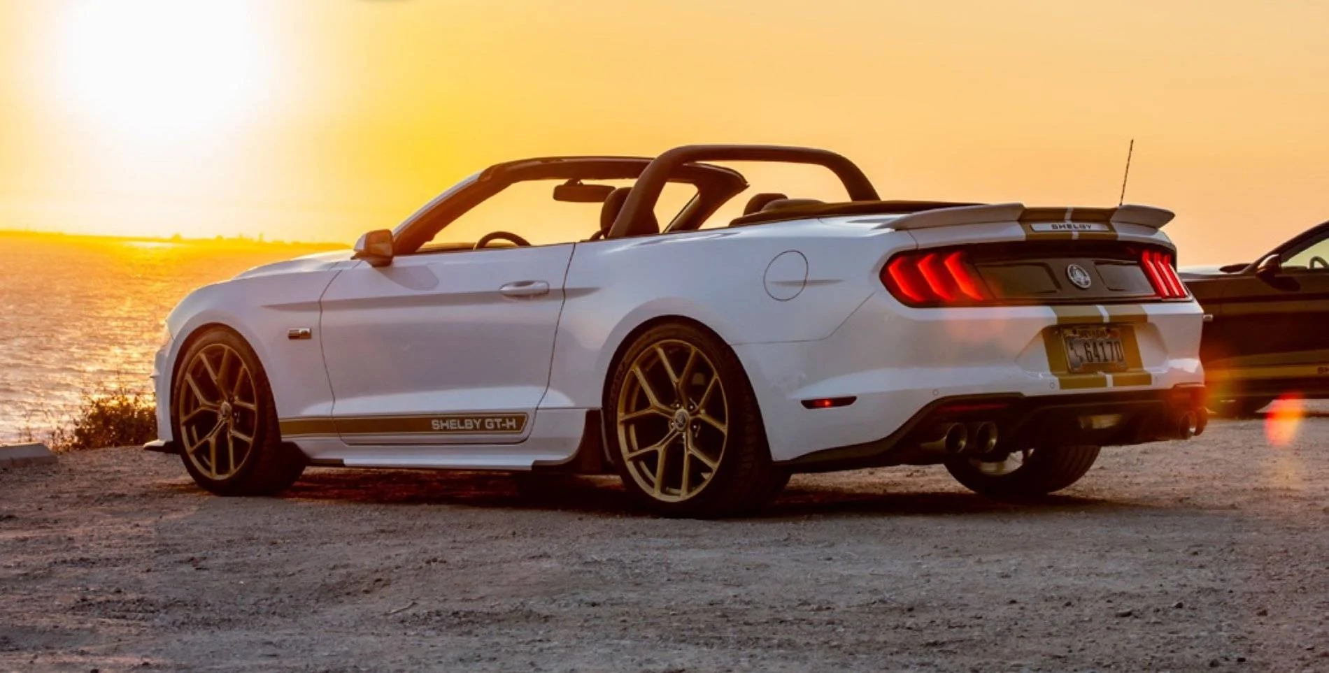2019ShelbyGT_Web-4.webp