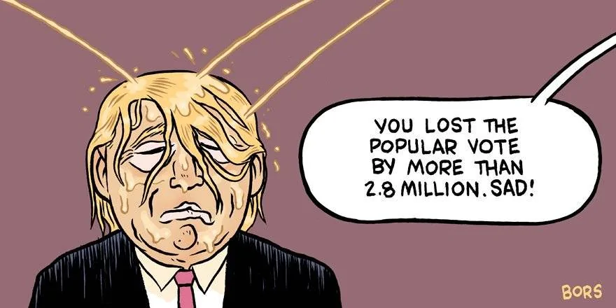 Lost the Popular Vote.webp