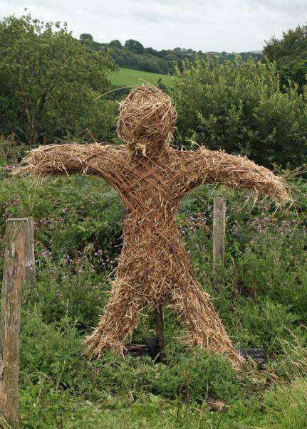 strawman-1.jpg