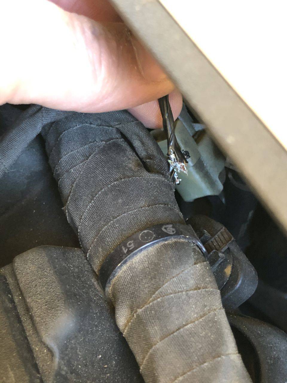 Chewed_Injector_02_small.jpg