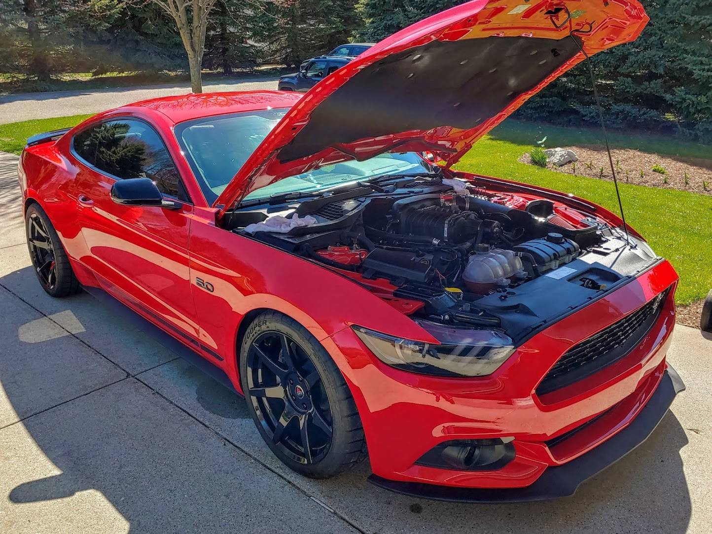 0420191613_HDR.jpg