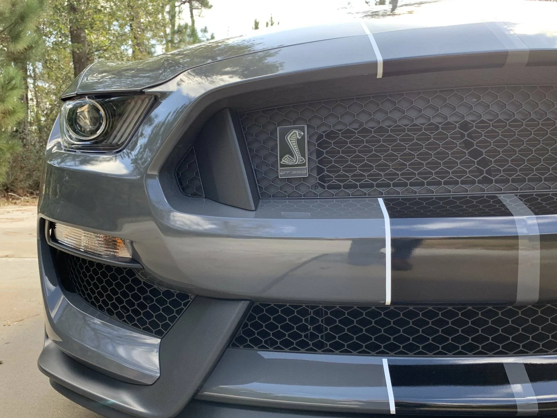 07 Black Emblem Front.webp
