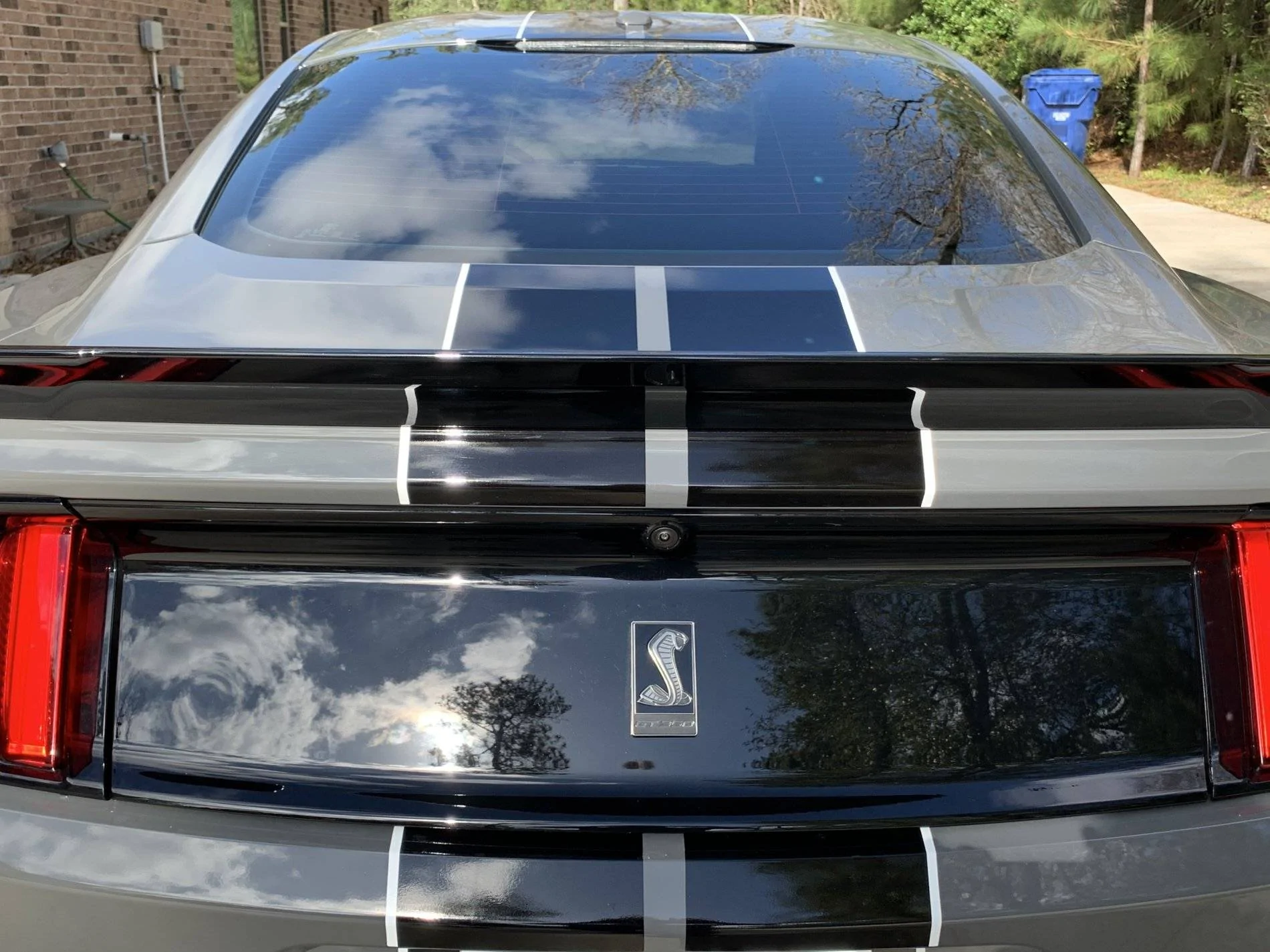 08 Black Emblem Rear.webp