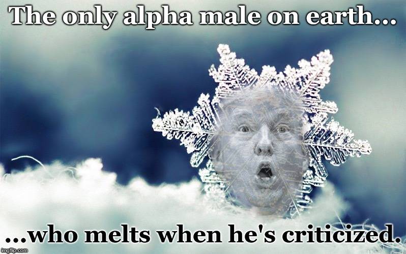 Trjump Snowflake.jpg