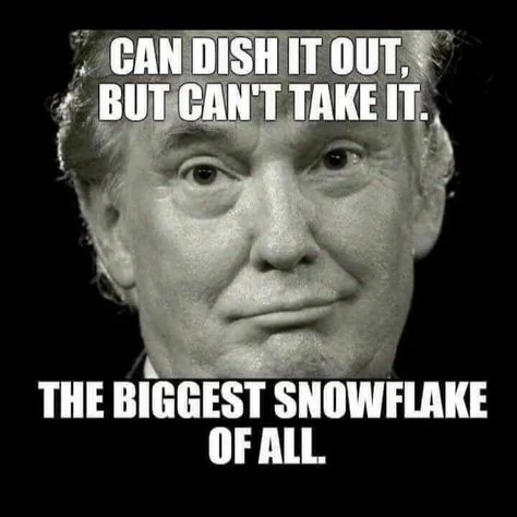 donald-trump-snowflakes.webp