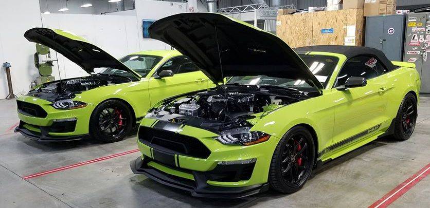 Grabber Lime Shelby Super Snake 4.jpg