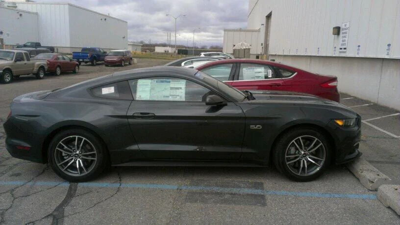 Guard fastback.webp