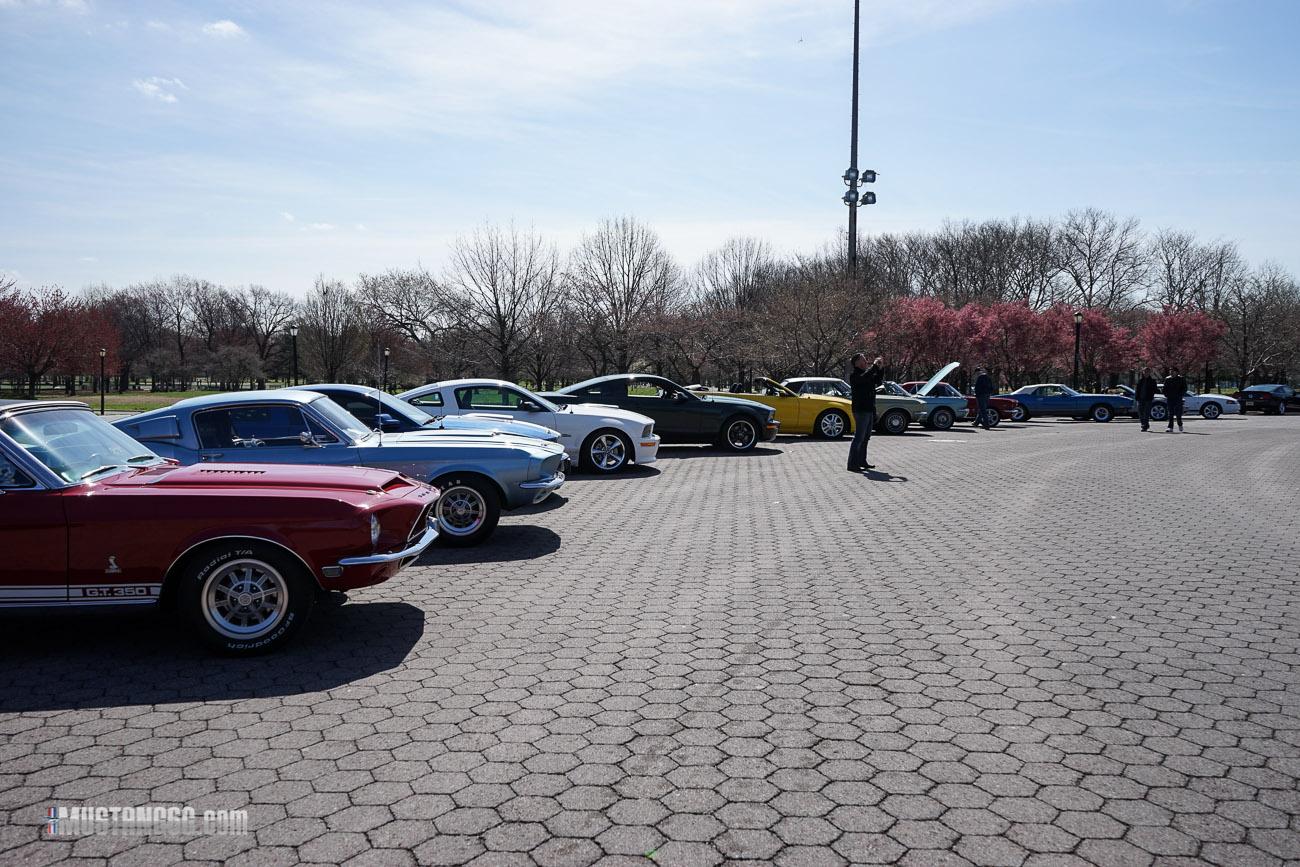 Mustang 50th Anniversary Flushing Meadows Park-2.jpg