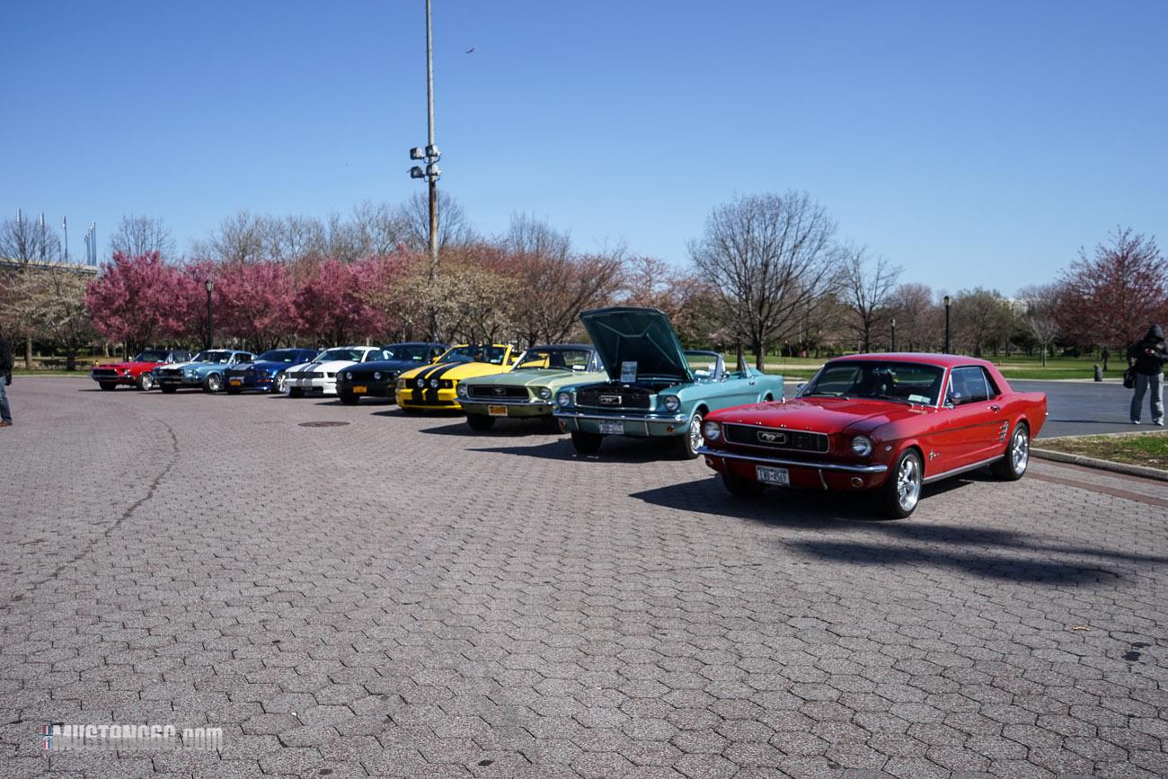 Mustang 50th Anniversary Flushing Meadows Park-3.jpg