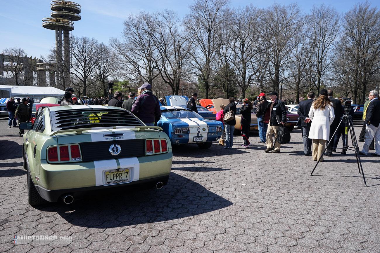 Mustang 50th Anniversary Flushing Meadows Park-4.jpg