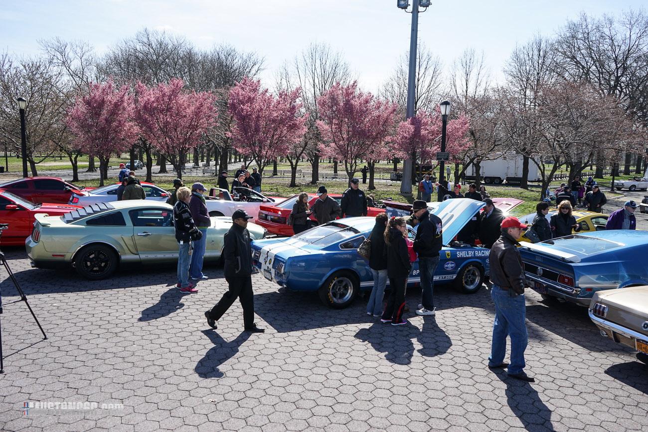 Mustang 50th Anniversary Flushing Meadows Park-6.jpg