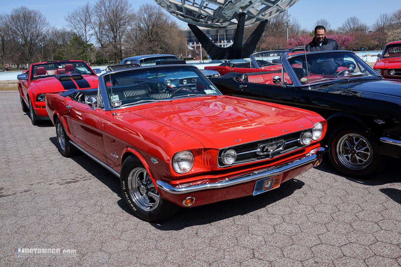 Flushing Meadows Mustang 50th Anniversary_-9.jpg