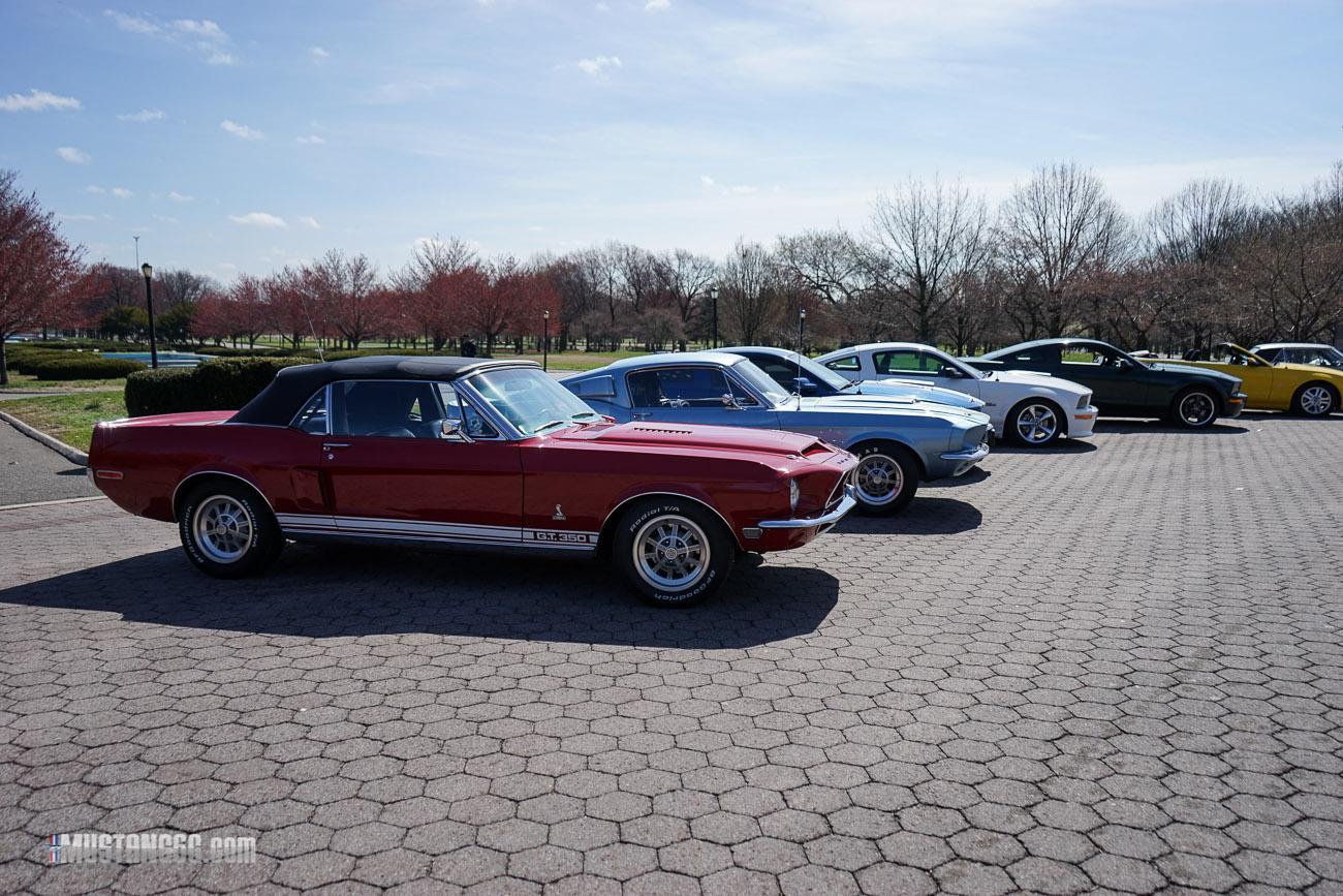 Mustang 50th Anniversary Flushing Meadows Park.jpg