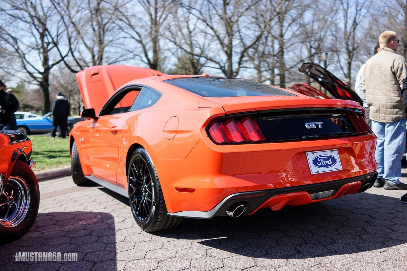 Flushing Meadows Mustang 50th Anniversary_-3.webp
