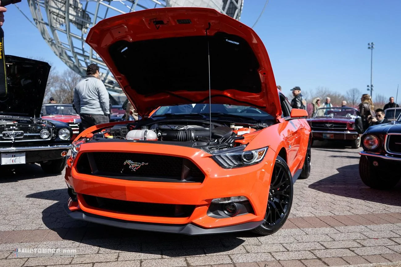 Mustang 50th Anniversary Flushing Meadows Park-7.webp