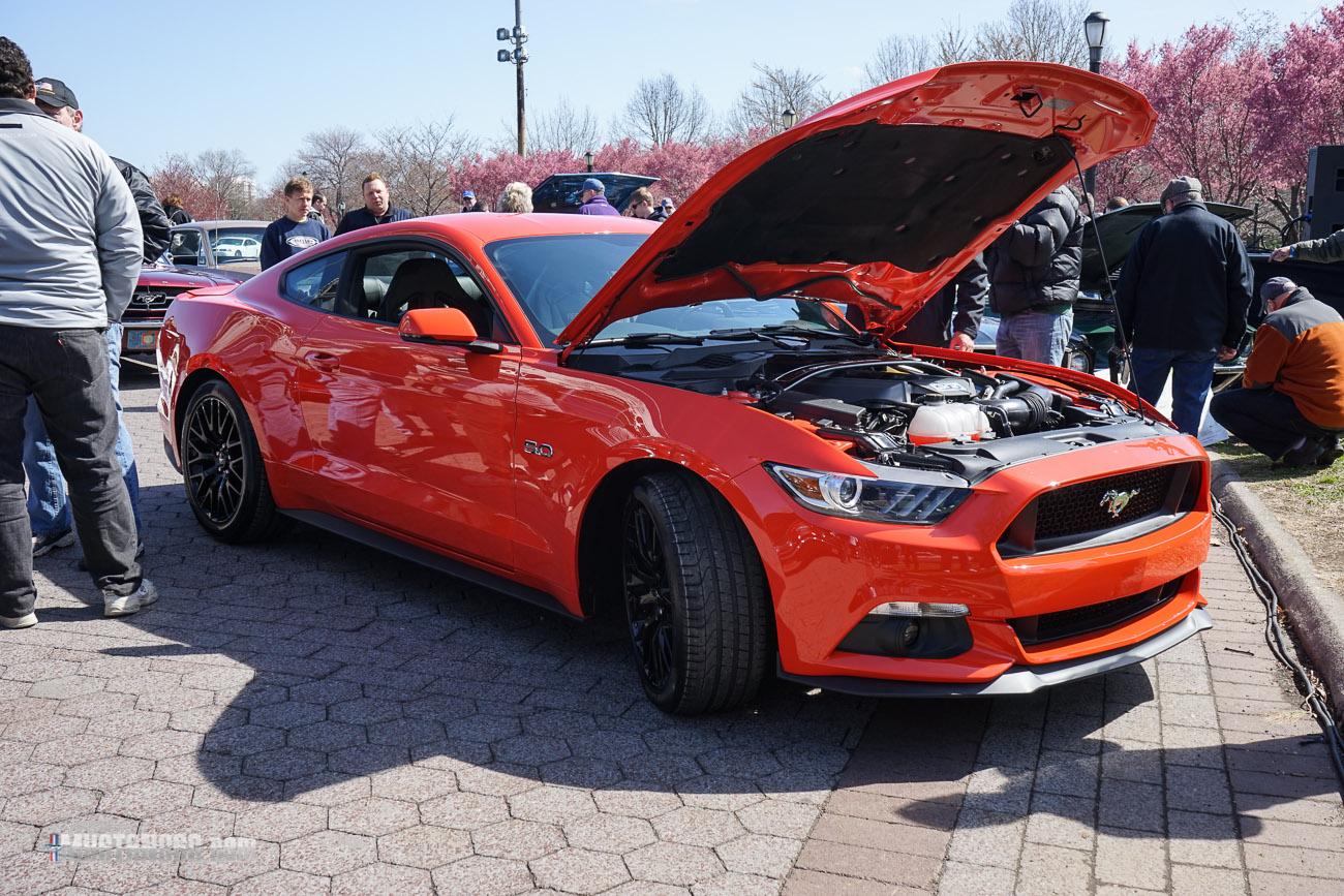 Mustang 50th Anniversary Flushing Meadows Park-18.jpg