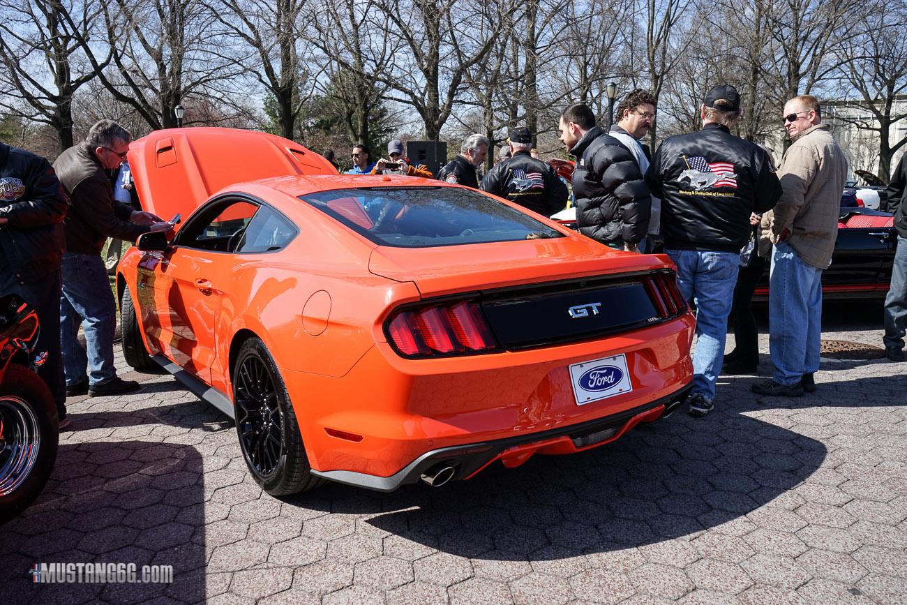 Mustang 50th Anniversary Flushing Meadows Park-21.jpg