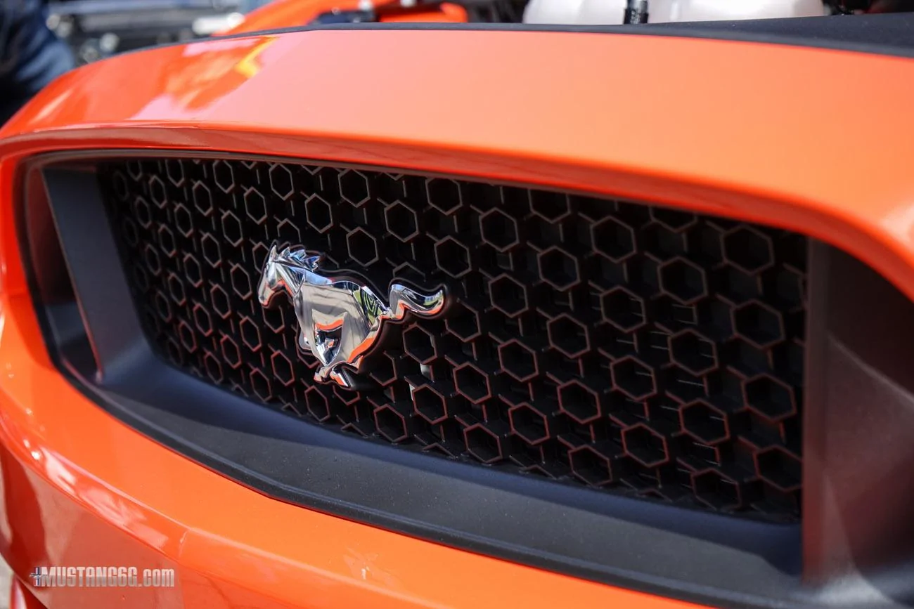 Mustang 50th Anniversary Flushing Meadows Park-26.webp