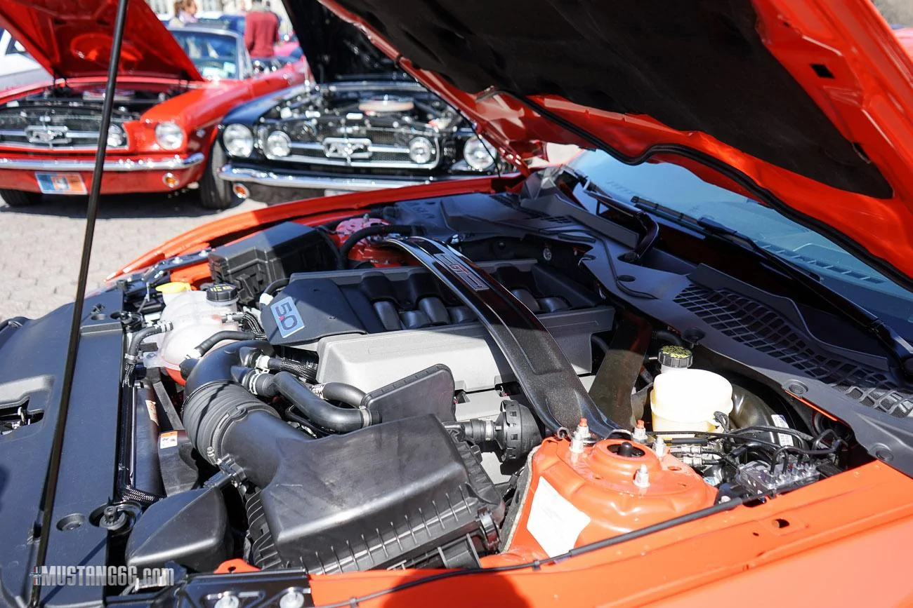 Mustang 50th Anniversary Flushing Meadows Park-12.webp