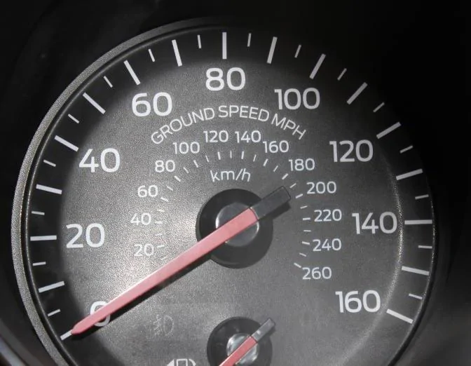 2015speedo.webp