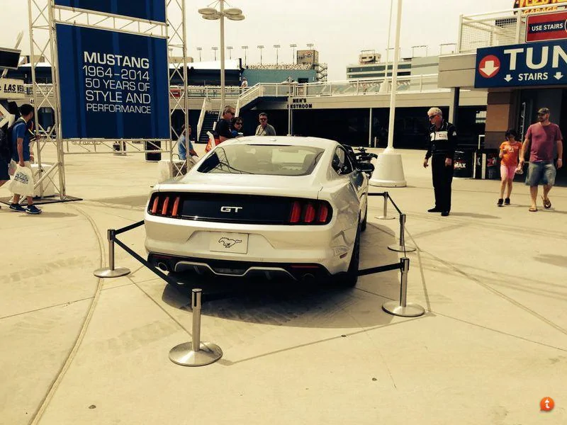 ingotmustang1.webp