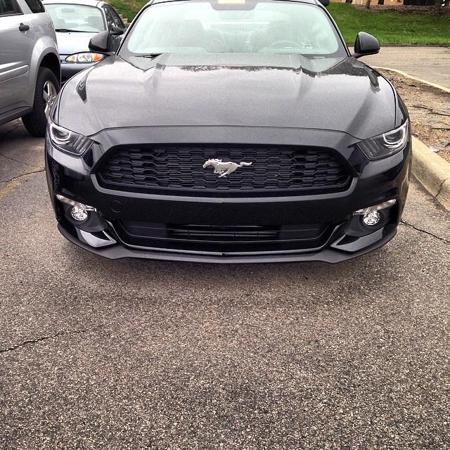 euro-2015mustang1.jpg
