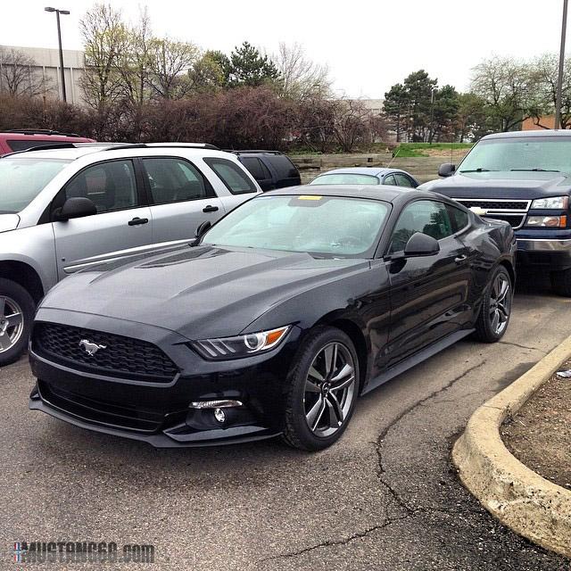 euro-2015mustang2.jpg