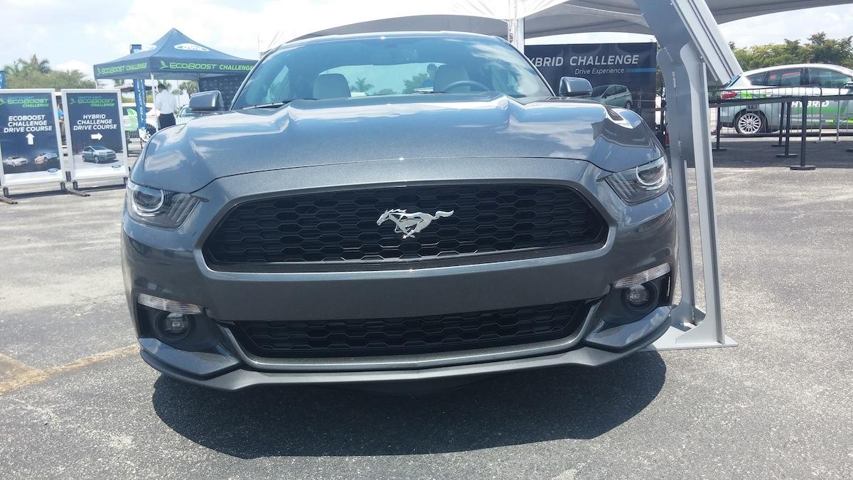 guardmustang0.jpg
