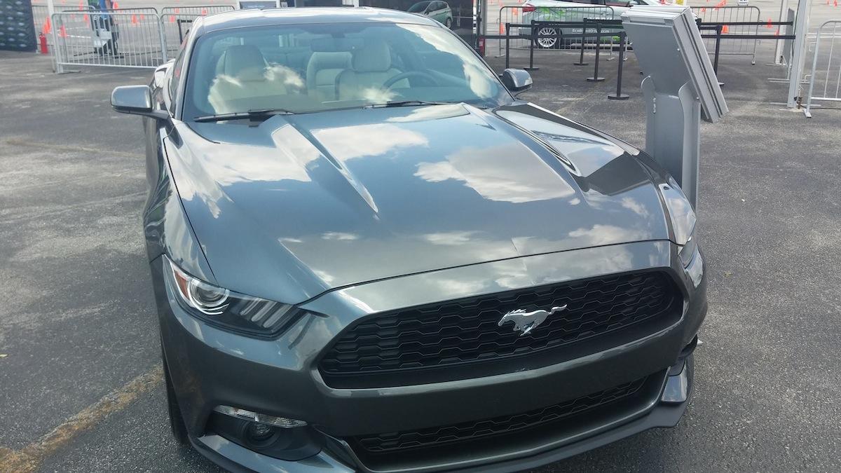 guardmustang2.jpg