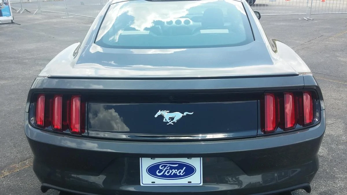 guardmustang3.webp