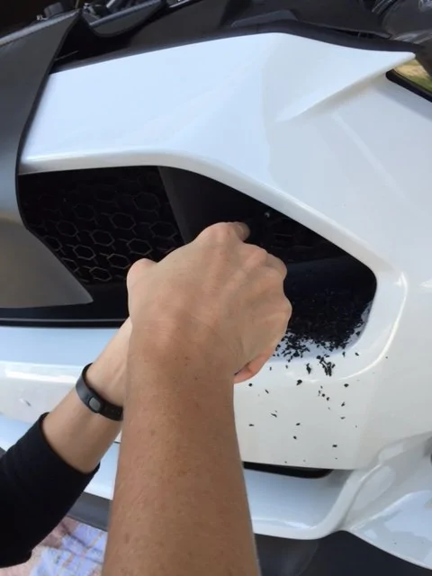 dremel and touch up.webp