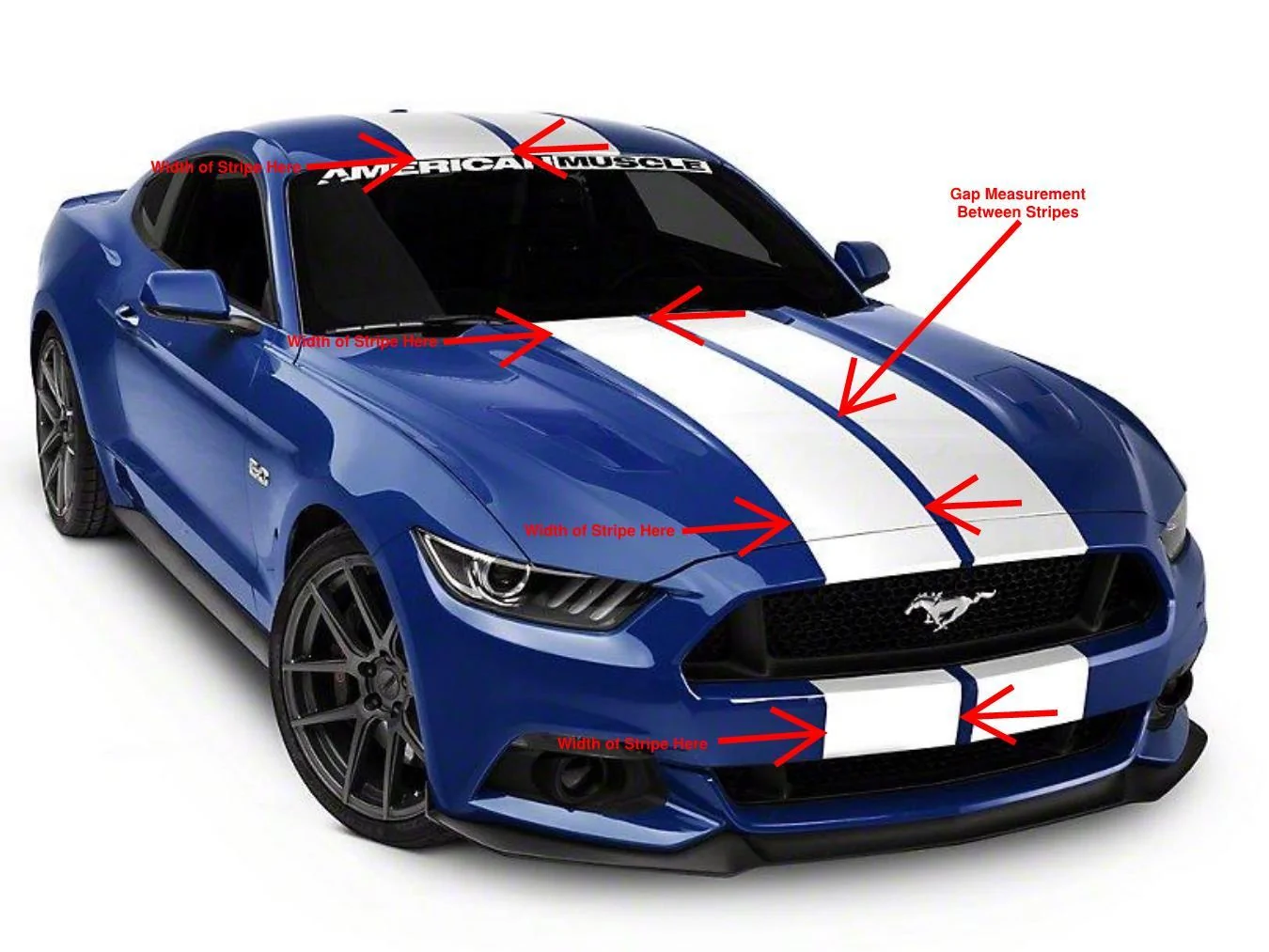 front stripe.webp
