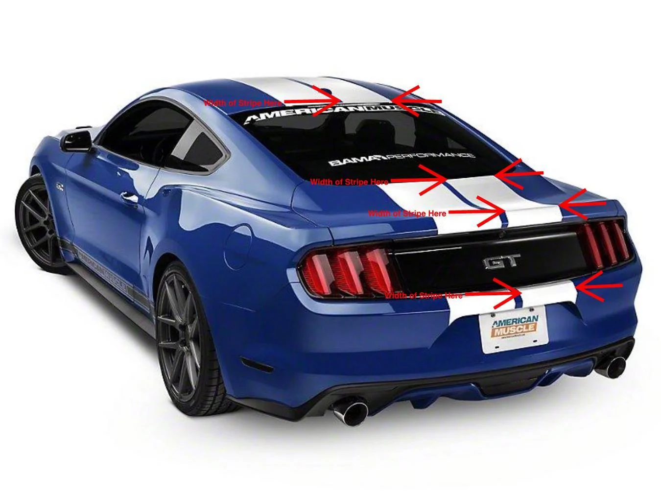 back stripe.webp
