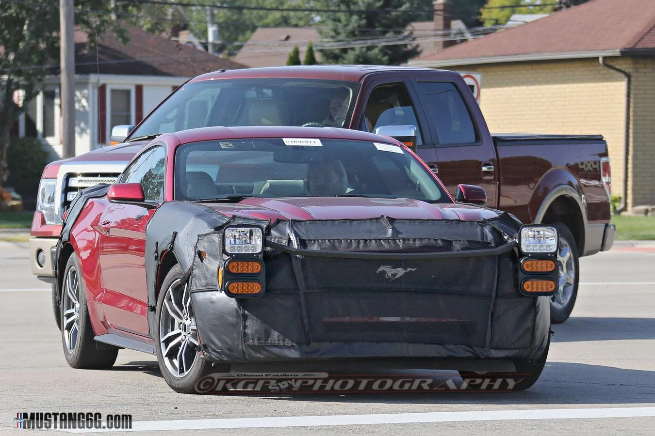 Mustang-1.webp