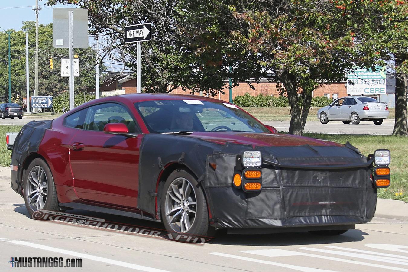 Mustang-3.jpg