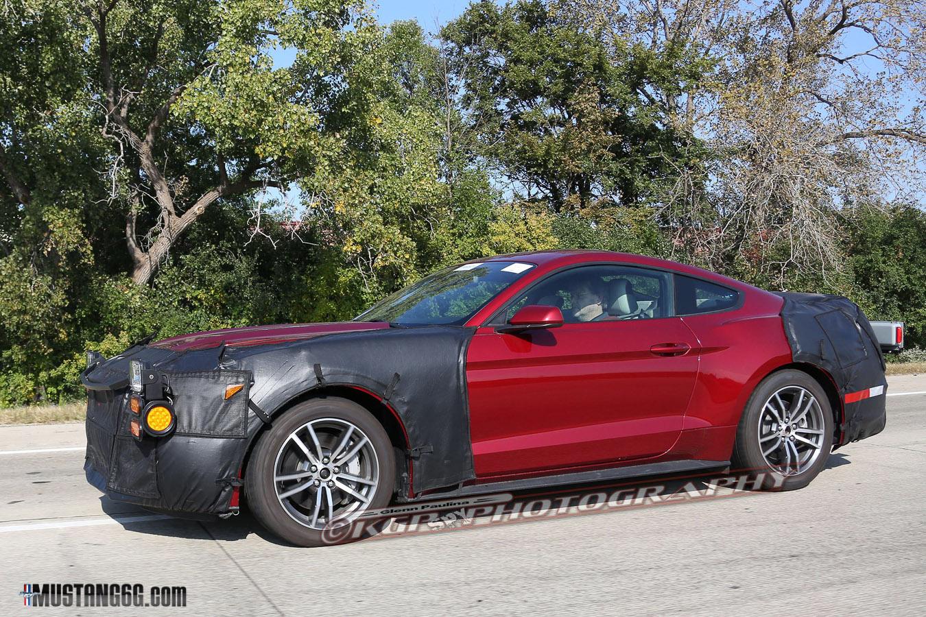 Mustang-4.jpg