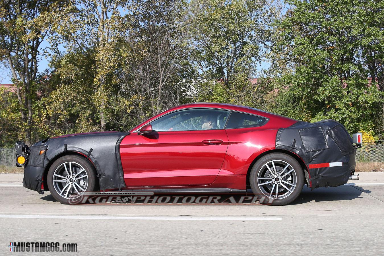 Mustang-5.jpg