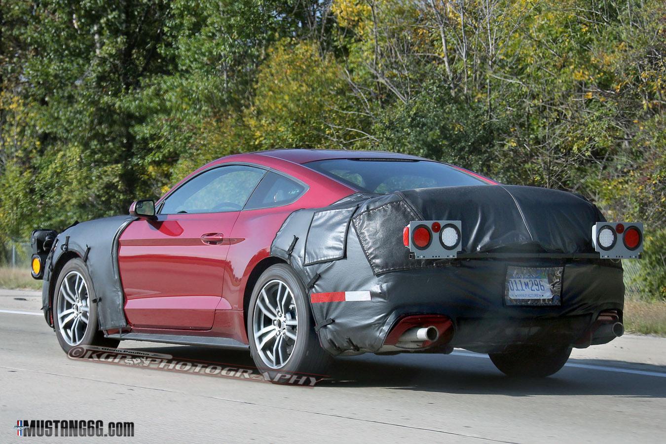Mustang-6.jpg