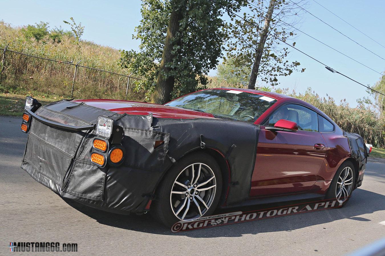 Mustang-9.jpg